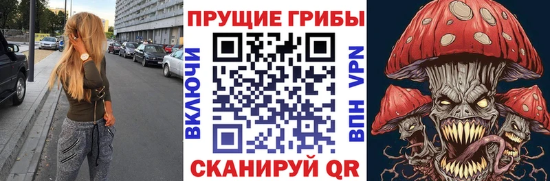 Псилоцибиновые грибы Cubensis  Купить закладки  Кубинка 